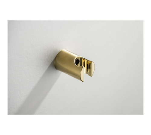 Душевой набор Aquanet Европа 1jet шлифованное золото AQ2034BG