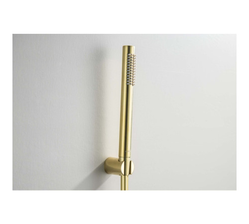 Душевой набор Aquanet Европа 1jet шлифованное золото AQ2034BG