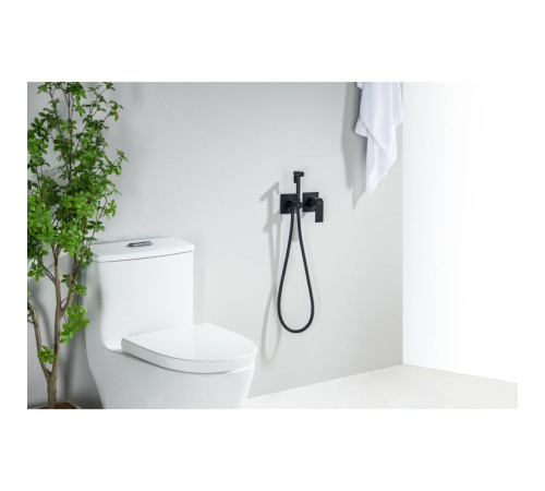 Комплект для гигиенического душа Aquanet Лира встроенный 2 отверстия матовый черный AQ1420MB