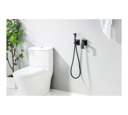 Комплект для гигиенического душа Aquanet Лира встроенный 2 отверстия матовый черный AQ1420MB