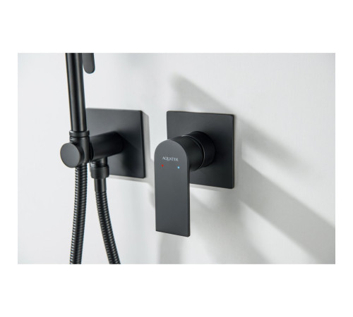 Комплект для гигиенического душа Aquanet Лира встроенный 2 отверстия матовый черный AQ1420MB
