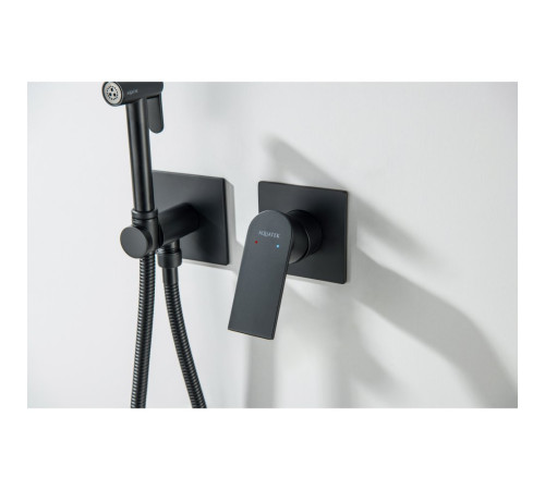 Комплект для гигиенического душа Aquanet Лира встроенный 2 отверстия матовый черный AQ1420MB