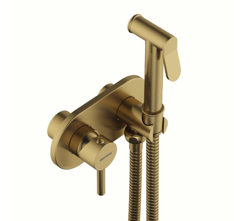 Смеситель для гигиенического душа встраиваемый Damixa бронза 214000000