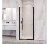 Душевая дверь в нишу RGW Passage PA-06B 800х1950 мм черный 41080608-14