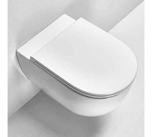 Унитаз подвесной Simas Trevi 56х37 см безободковый белый матовый TRV18 bi matt