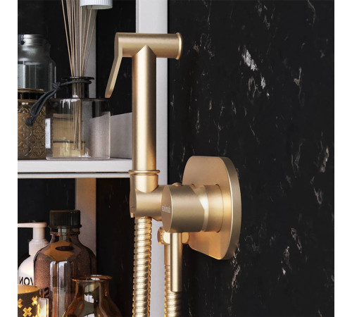 Смеситель для гигиенического душа встраиваемый Damixa бронза 214000000