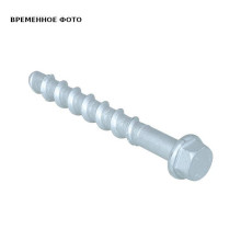 Шуруп по бетону Walraven BIS WCS1H 10x60 мм 6253506