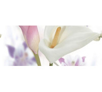 Панно Ceradim Sano C 20х50 см КПН17SanoC