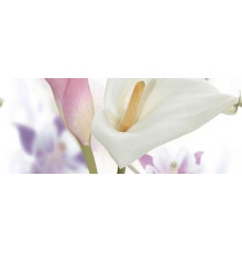 Панно Ceradim Sano C 20х50 см КПН17SanoC