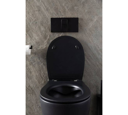 Чаша подвесного унитаза Allen Brau Reality черный 4.32006.31