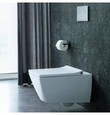 Унитаз подвесной Duravit Viu Rimless 37x57 см белый 2511090000
