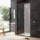 Душевая дверь в нишу AM.PM Gem 100х195 см раздвижная W90G-100-1-195BM
