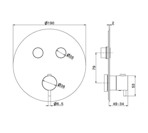 Смеситель для душа встраиваемый термостатический Newform X-STEEL 316 на 2 источника PVD Brushed pale gold 70426EX.59.098