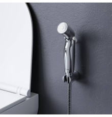 Гигиеническая лейка со шлангом и держателем AM.PM Like сталь матовая F0202032