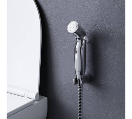 Гигиеническая лейка со шлангом и держателем AM.PM Like сталь матовая F0202032