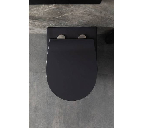 Чаша подвесного унитаза Allen Brau Reality черный 4.32006.31