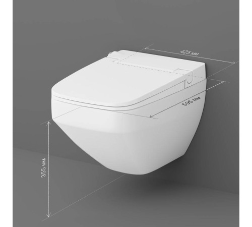 Унитаз подвесной безободковый AM.PM с крышкой-биде CCC50A1700SC