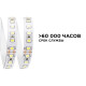 Лента светодиодная Apeyron Electrics 00-331