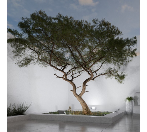 Настенно-потолочный прожектор Apeyron Electrics 05-51