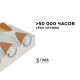 Накладной светильник Apeyron Electrics 31-01
