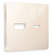 Накладка для розетки type A и C Ambrella Volt Quant AP3110