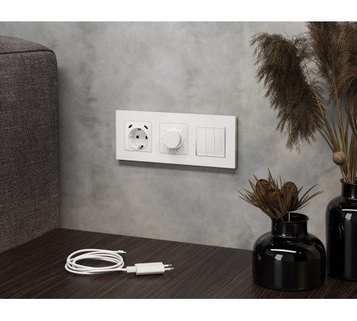 Розетка с заземлением и 2хUSB type C, без рамки Ambrella Volt MA MA130510