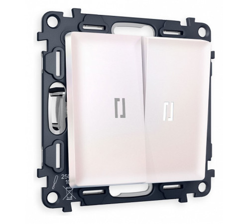 Выключатель двухклавишный с подсветкой без рамки Ambrella Volt Quant MA204015