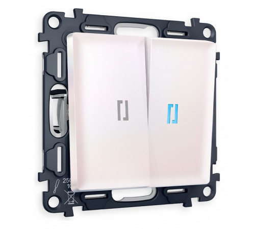 Выключатель двухклавишный с подсветкой без рамки Ambrella Volt Quant MA204020