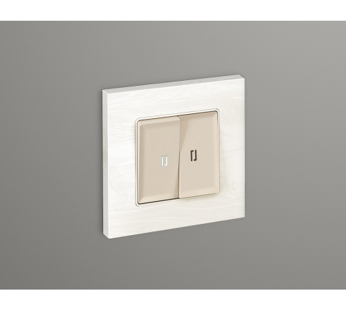 Выключатель проходной двухклавишный с подсветкой Ambrella Volt Quant MA324035
