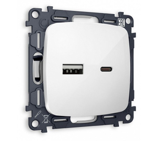 Розетка 2хUSB type A и C без рамки Ambrella Volt MO MO111010