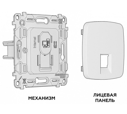 Розетка двойная Ethernet RJ-45 без рамки Ambrella Volt MO MO112010