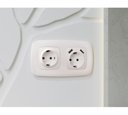 Накладка для розетки с заземлением и со шторками и 2хUSB type A Ambrella Volt Quant OP2090