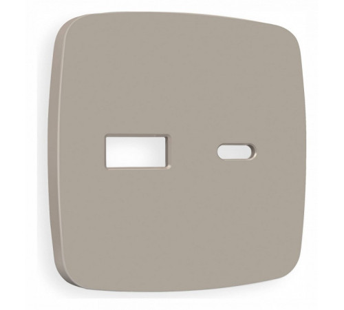 Накладка для розетки type A и C Ambrella Volt Quant OP3710