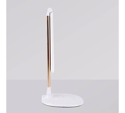 Настольная лампа офисная Ambrella Light DE DE525