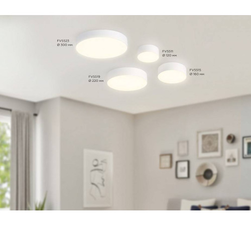 Накладной светильник Ambrella Light FV FV5519