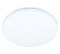 Накладной светильник Ambrella Light FZ FZ1010