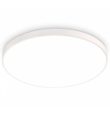 Накладной светильник Ambrella Light FZ FZ1202