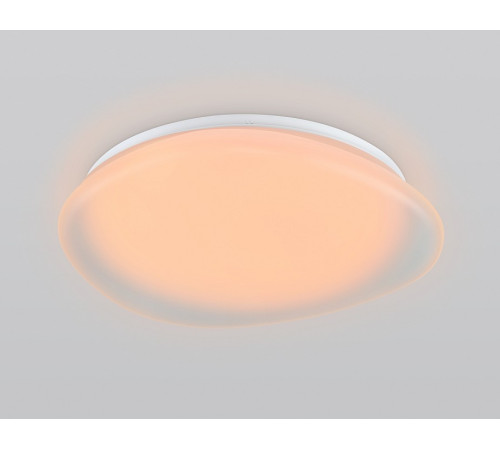 Накладной светильник Ambrella Light ORBITAL FZ1610