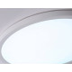 Накладной светильник Ambrella Light FZ FZ1959