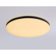 Накладной светильник Ambrella Light FZ FZ2004