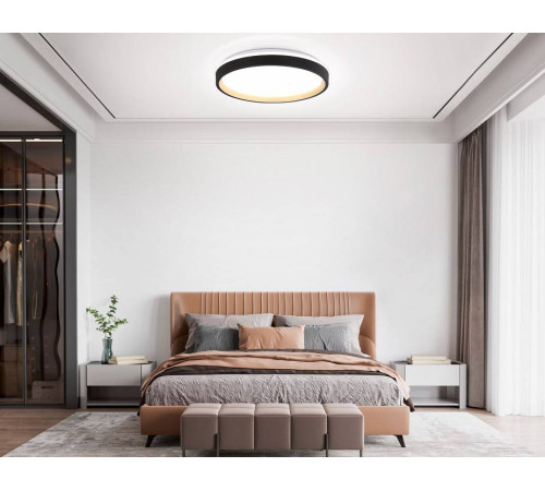 Накладной светильник Ambrella Light FZ FZ610