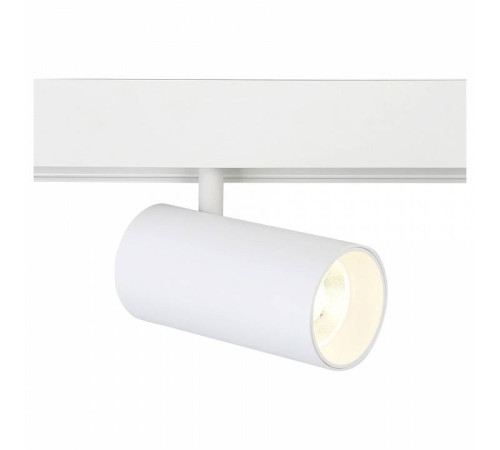 Светильник на штанге Ambrella Light GL GL3838