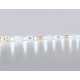 Лента светодиодная Ambrella Light GS GS1003