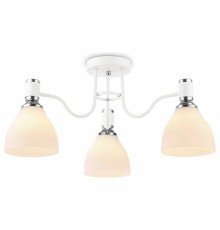 Потолочная люстра Ambrella Light TR TR303302