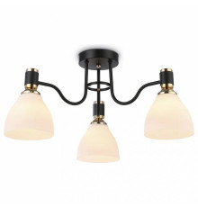 Потолочная люстра Ambrella Light TR TR303303