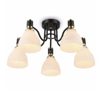 Потолочная люстра Ambrella Light TR TR303307