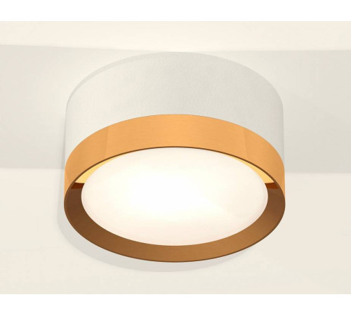 Накладной светильник Ambrella Light XS XS8101005