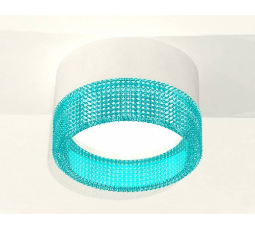 Накладной светильник Ambrella Light XS XS8101033