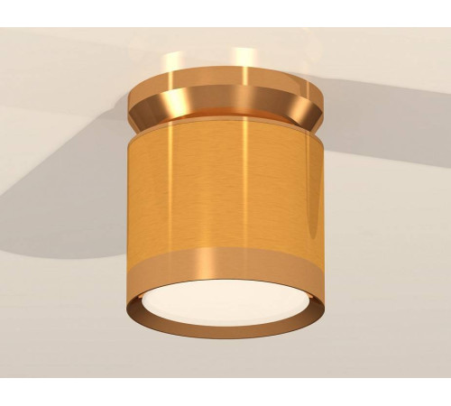 Накладной светильник Ambrella Light XS XS8121035