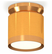 Накладной светильник Ambrella Light XS XS8121035